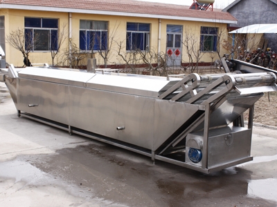 Vegetable Blanching Machine